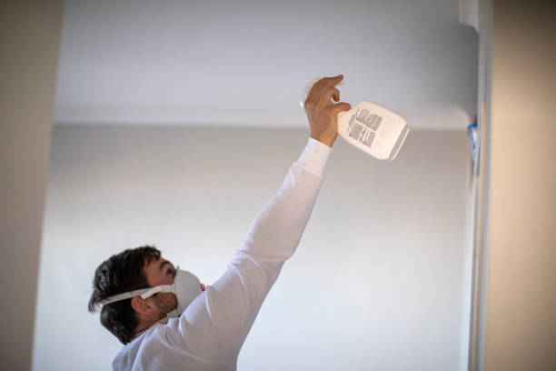 Best Professional Mold Removal  in Manorville, NY