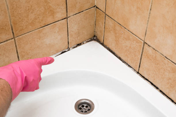 Crawl Space Mold Removal in Manorville, NY